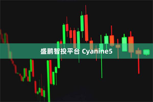 盛鹏智投平台 Cyanine5
